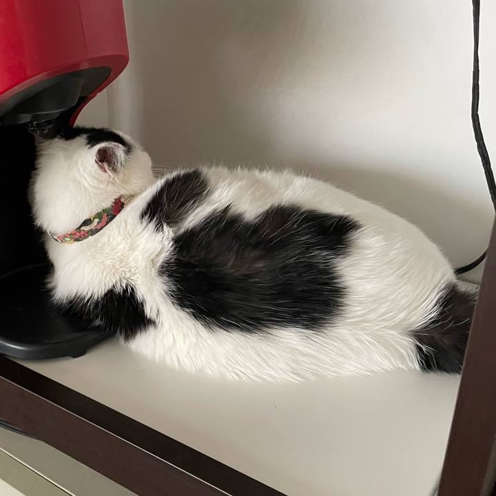 E684105f 0bb8 4e82 a377 0cc0e2356c9d 1637293172794