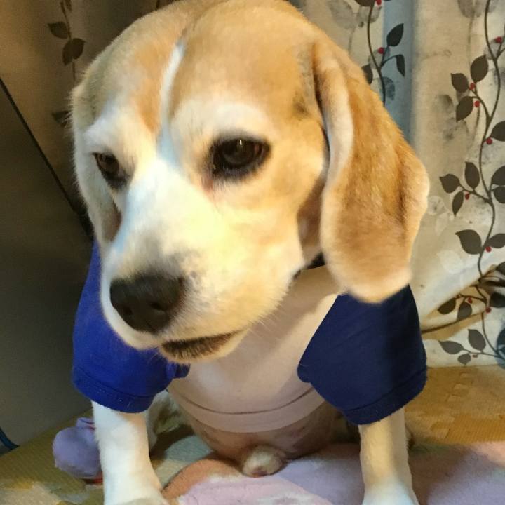 E6847030 290d 42b9 9bd2 758ab3e880a8 1747355785897