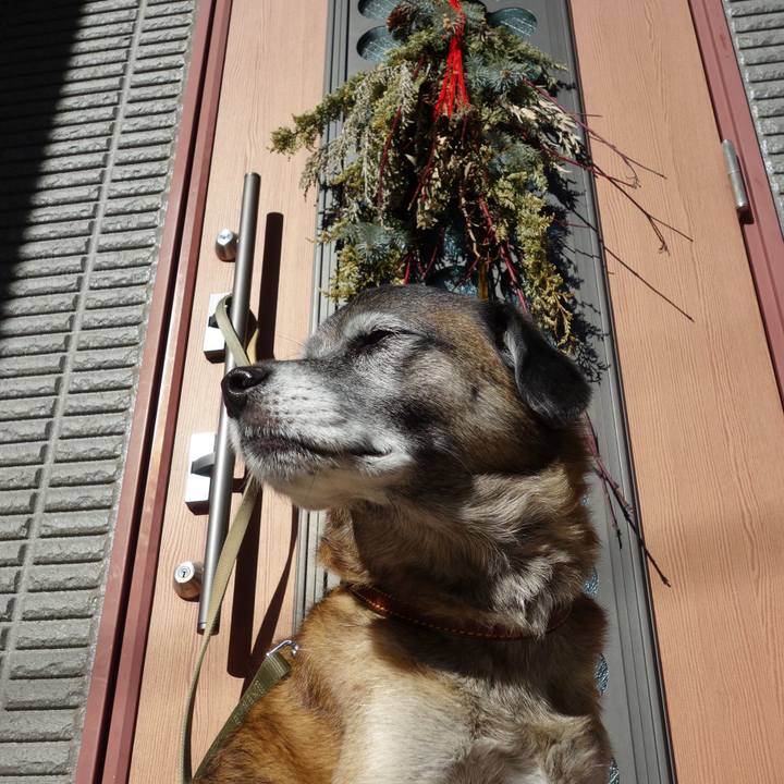 E6848183 3944 4428 bbeb 23dd00c07fe9 1624145023155