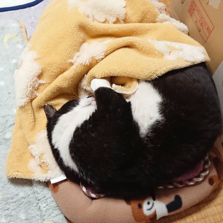 E6848392 f470 46b7 8f19 925279b2e3f9 1639052350317