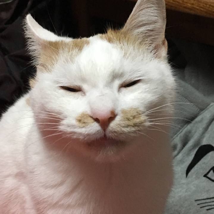 E68494a9 2609 41fb 982c c5594937778e 1512638910551