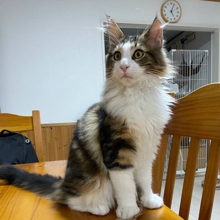 E684a301 7d50 4eed a359 7fd07f01cc17 1636574726622