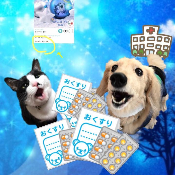E684be38 2930 4771 bbc0 50c9d0e1a98e 1577012061933