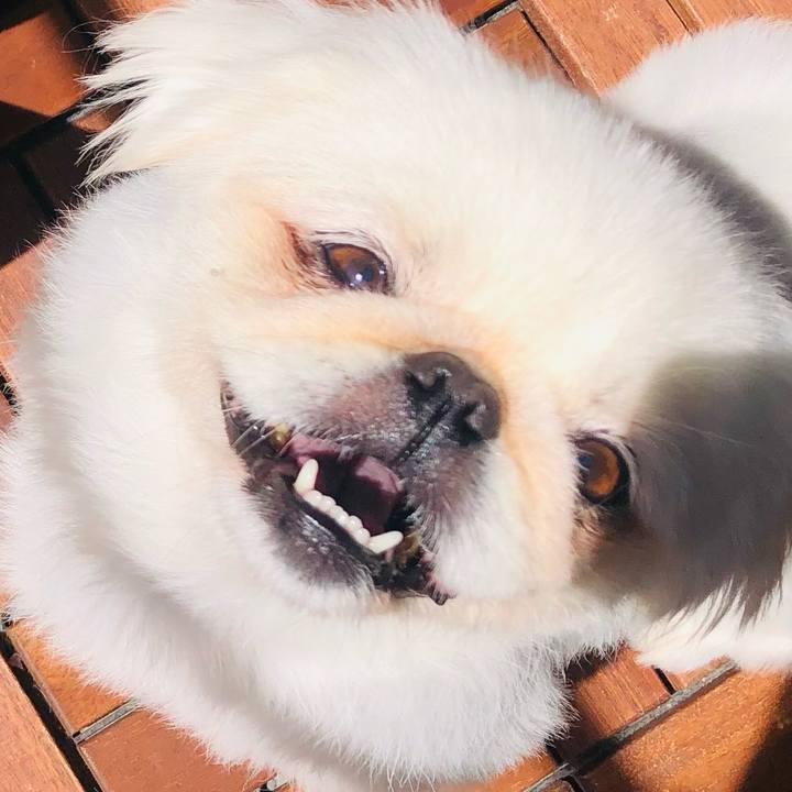 E684df36 e638 4944 b74f 34830616554e 1631248893199