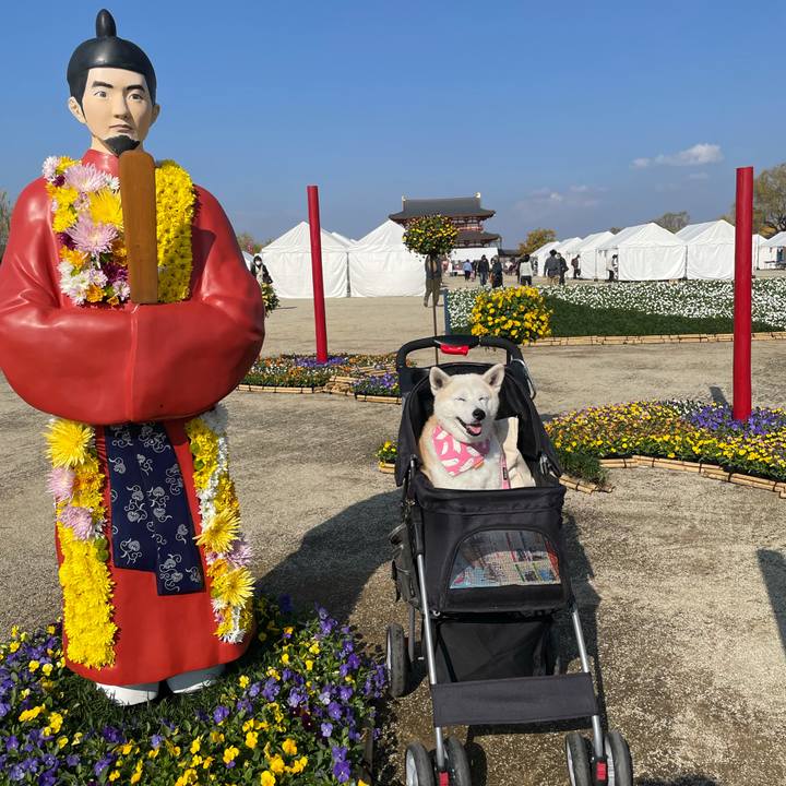 E68519a6 3d3f 465f 8c2d 216621fe8b3a 1637380677442