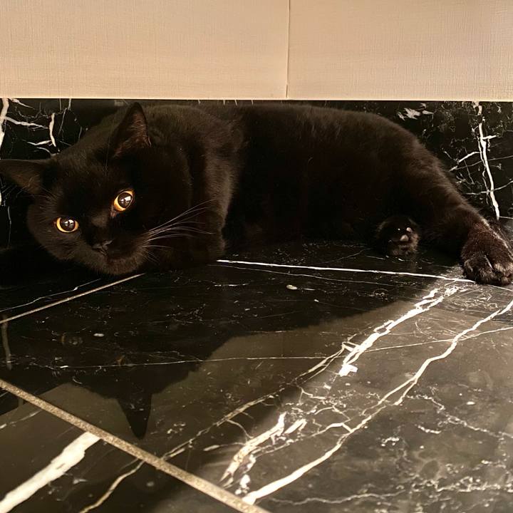 E6851b1c f888 4345 9f76 fb8456790398 1659180892304