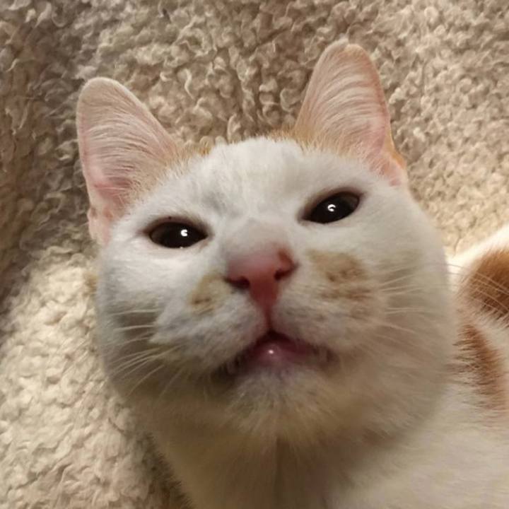 E6853754 cdfe 4e9b a2a9 d8f128395a3b 1680341510967