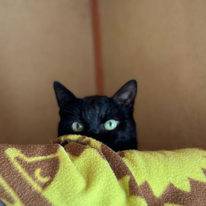 E68556a1 b507 4a5a 9288 880a7f53b267 1703987395659