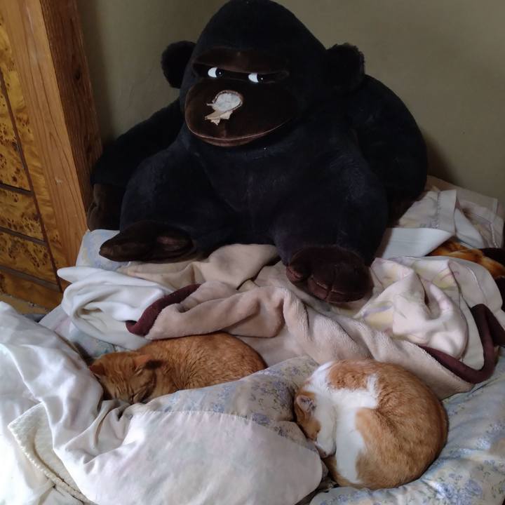 E68593ba 2b04 4869 87e0 a9cebde73b35 1744495626510