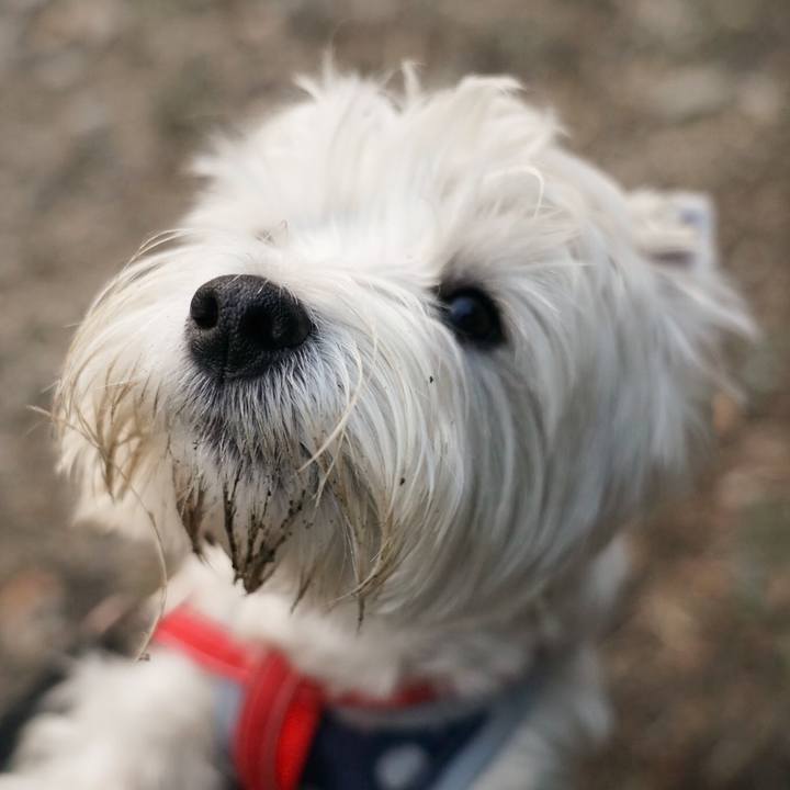 E68599cd 0557 4174 ad9f 8f493131bf61 1516057397837