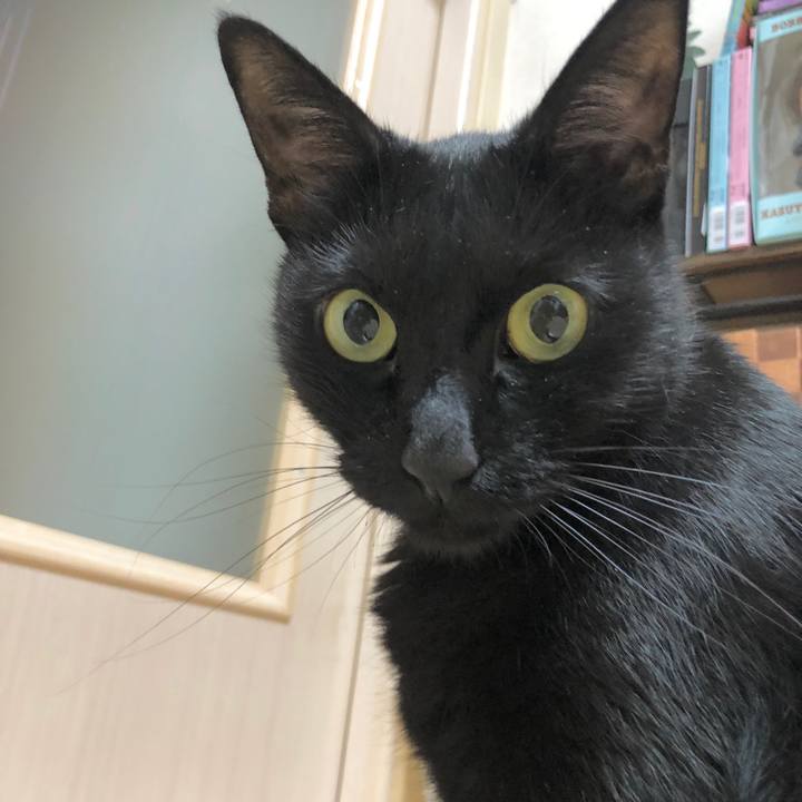 E6859e93 b528 4ece baa8 7267fe4e2158 1603544710157