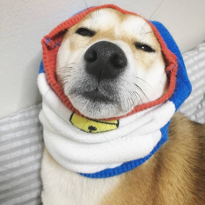 E685b5a4 9e12 41c5 b503 528e6511d4ca 1513771215855