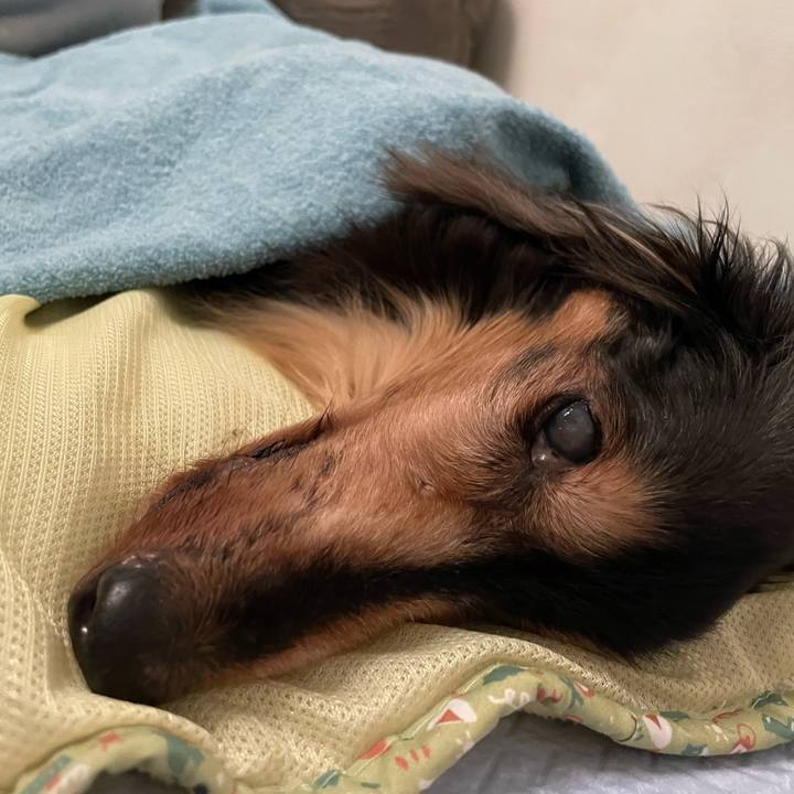 E685b91b ef11 46b6 9a23 6d39ae9eeb11 1763306376465