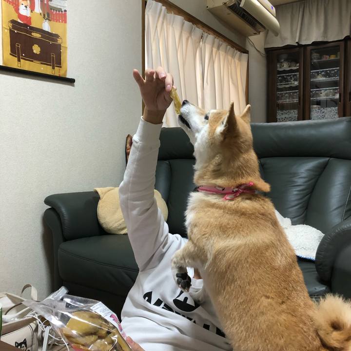 E685c9a2 e47e 4567 861e 6f6635bb37a8 1577663986176