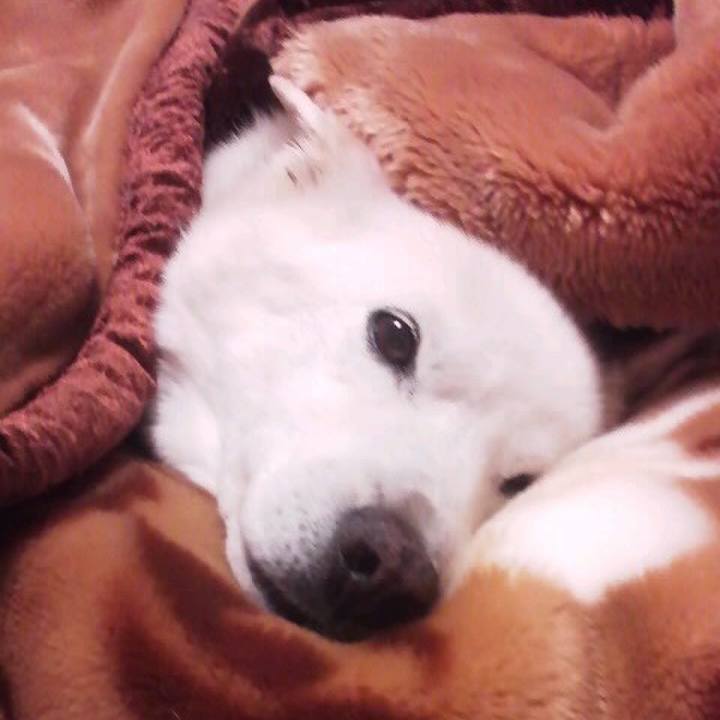 E685da1d add3 452d b212 d4c073a8388e 1516974332553