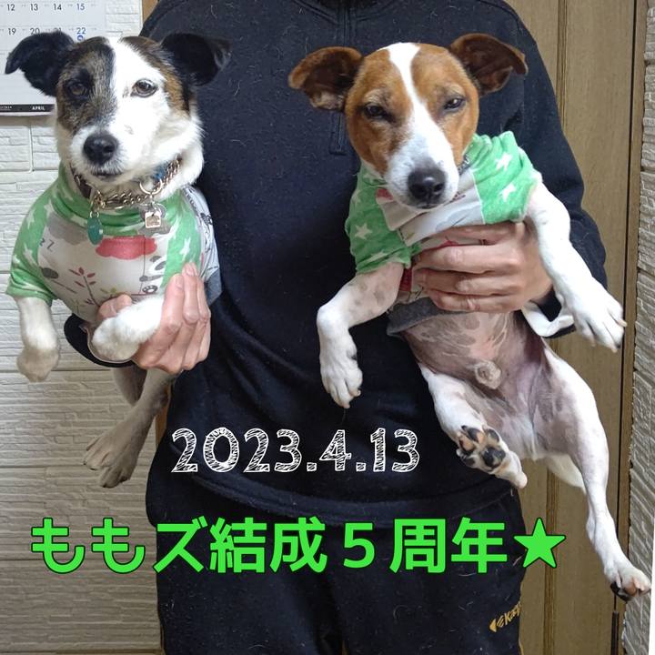 E685de43 84f0 40f2 984d 6bc943ae89ee 1681426385959