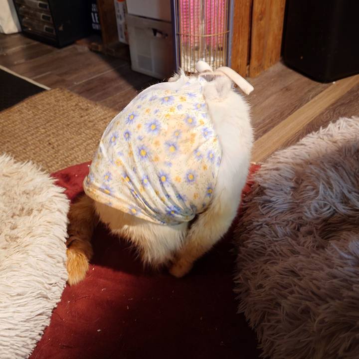 E68615b1 6e5e 4a99 a3ab e199b3f51777 1763990232979