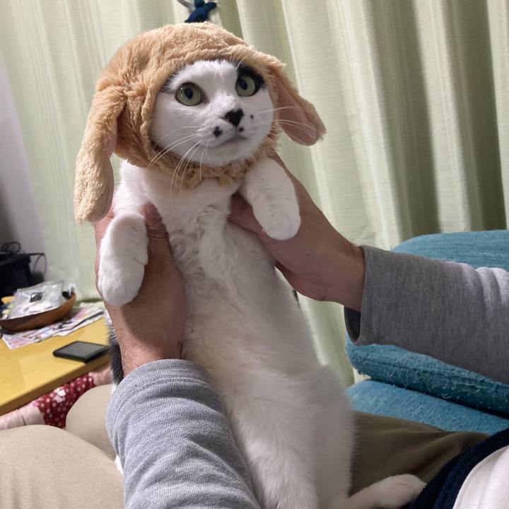 E686166f d5a5 4b52 a748 3950f851a20e 1772187710548