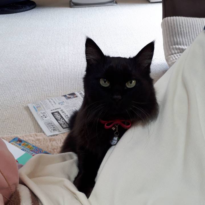 E686384e 5ac5 4646 ad82 2a7e5a4c1250 1518403811368