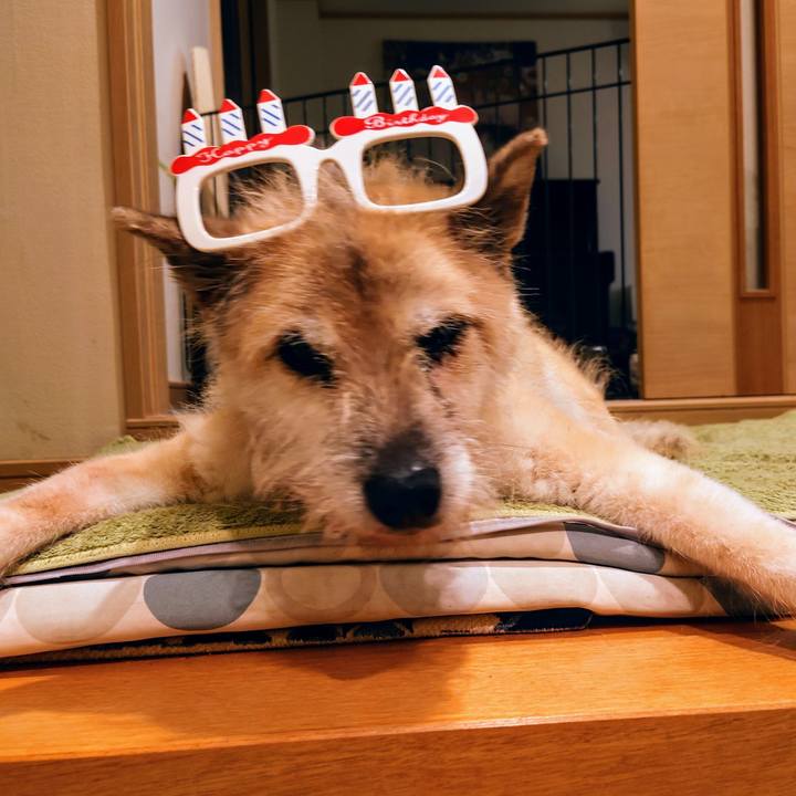 E686e96d 522c 42fa a680 21fe5c35579d 1630500956813