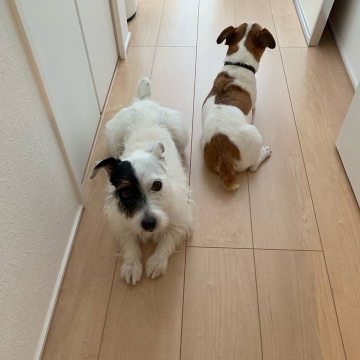 E68718d9 17bf 4b45 a977 d8caf362ba7d 1567907699616