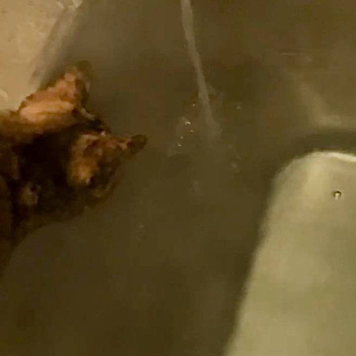 E687d53c 177e 4934 b0b5 54298610a3e7 1743278232970