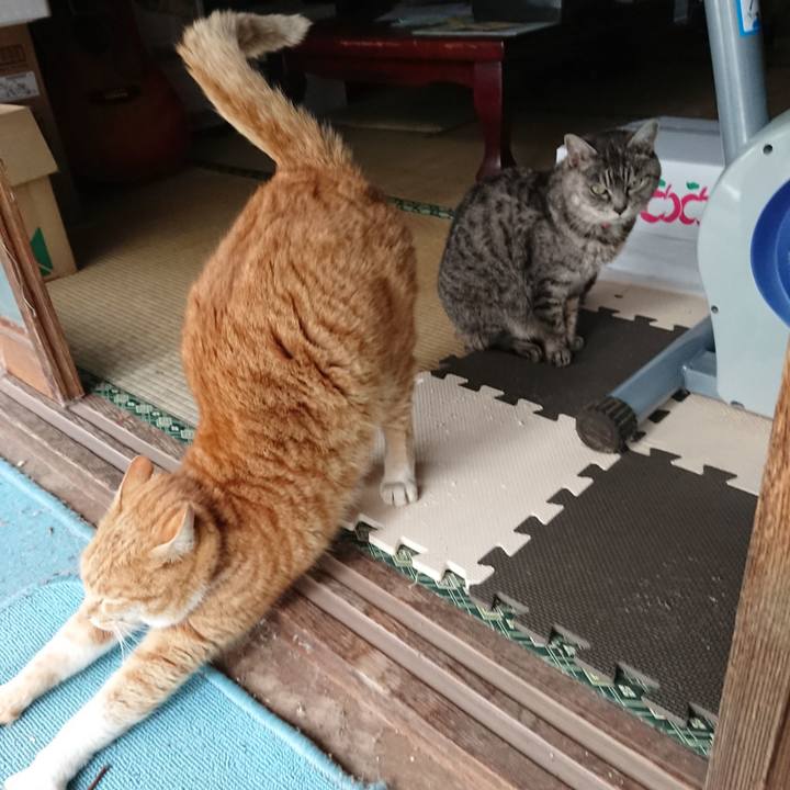 E687ee51 0920 4c54 96c7 0f9033797a0b 1578104874864