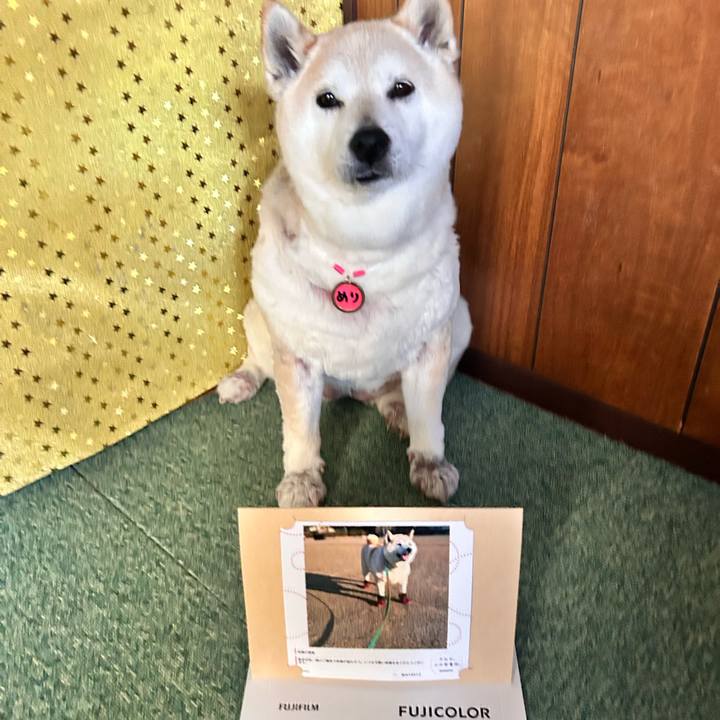 E687f9e8 d3ec 4cc2 a5f4 747bd12ed173 1742196286586