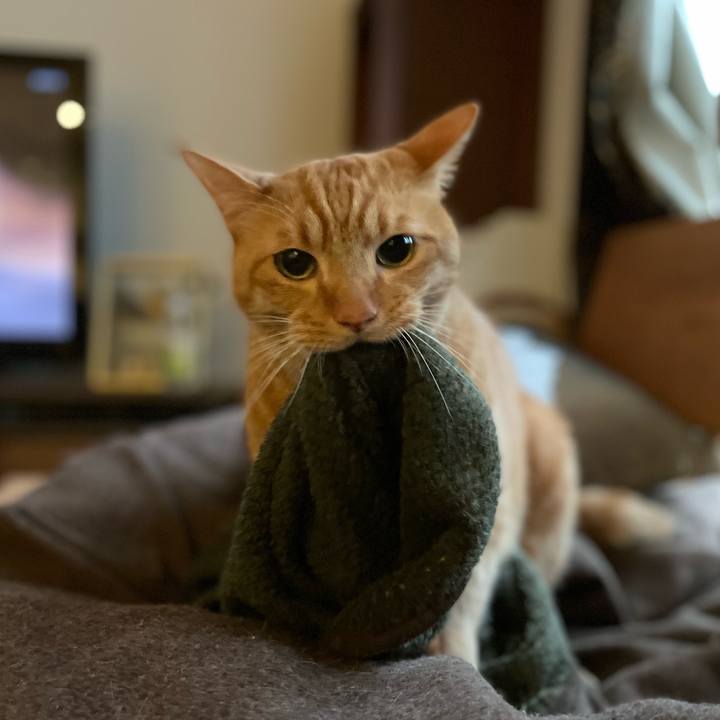 E687fde5 672c 4912 a9f8 100c65466933 1669938620091