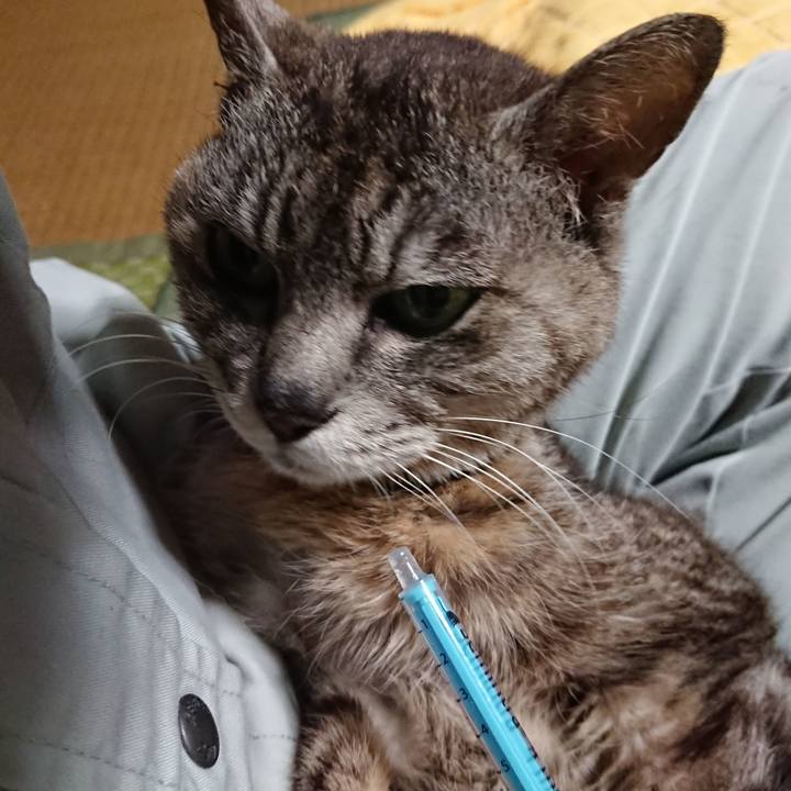 E688035e ed84 47c7 a491 5d137f4f9772 1593640992422