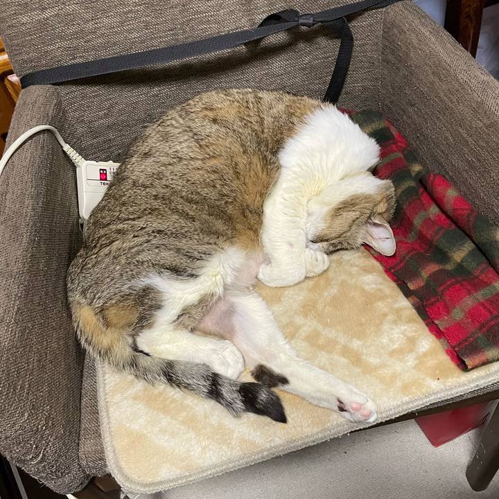 E68825d9 947b 4e08 ac0a 683c5c0670fc 1769682272510