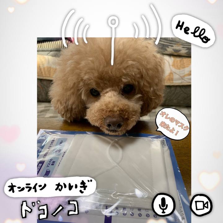 E6885c5c 68ee 4426 8b6e 673f44d5309f 1591135967625