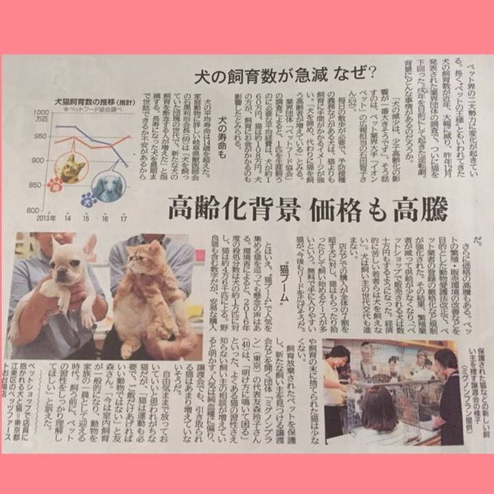 E6887a3f d1db 499f b277 8c154bbfccef 1515986848782