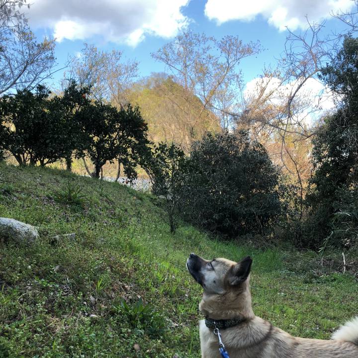 E688863c 690b 4be1 90b2 e1a7e8ee3b24 1584186805177