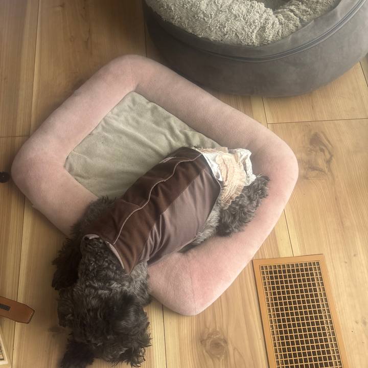 E688a6d0 27c9 46c8 8e3b 61ac9a0ede7d 1740277043719