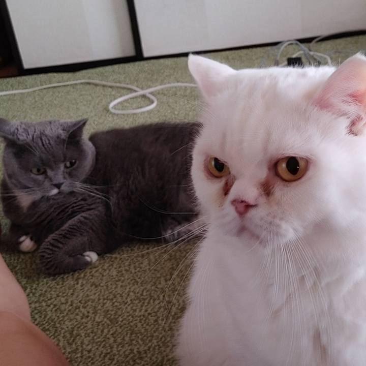 E688b4f2 8890 4e93 b10b 613a1593778b 1687473751470