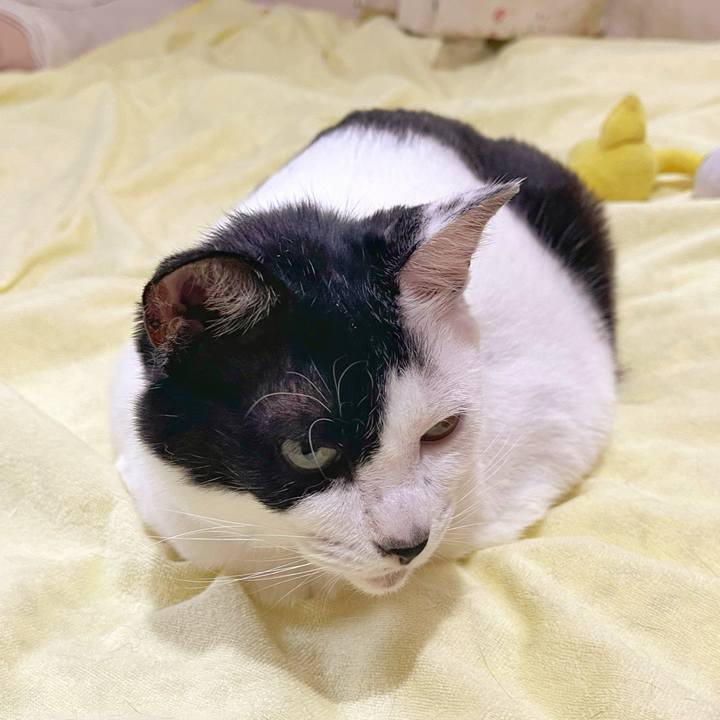 E688eef7 c4a0 46b5 af90 95ce155587f3 1760743177680