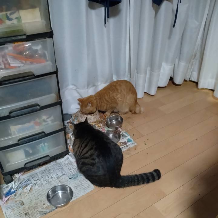 E688f4fb 1d20 463d a266 0f8784a3566d 1699479669438