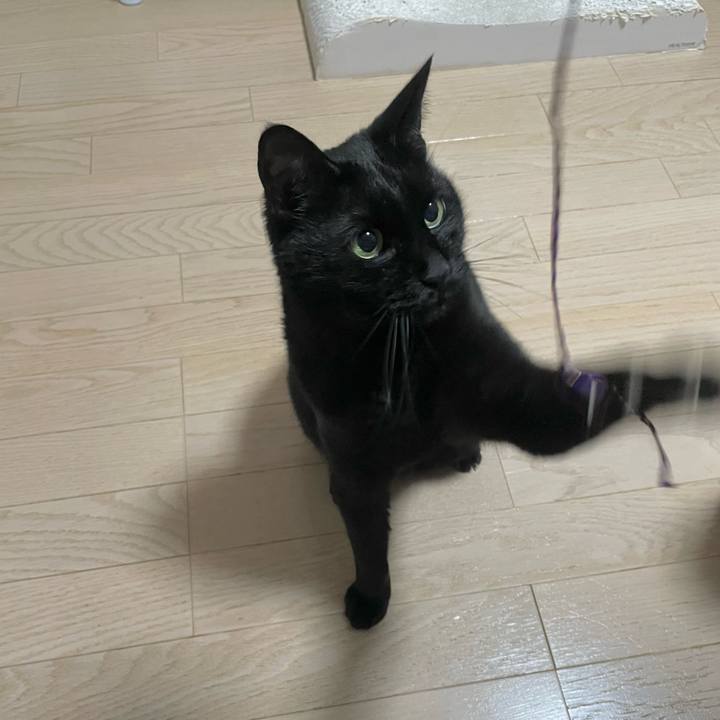 E688f5a6 4ae3 4017 b107 02a3e6109a35 1744202491991