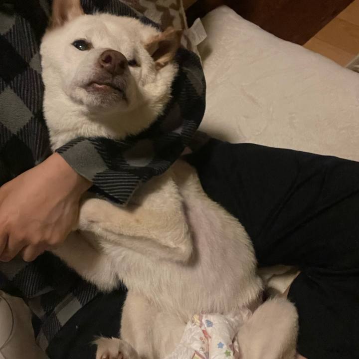 E6892dd4 c75e 4ab6 ab36 e6a4879d9d1d 1669650440758