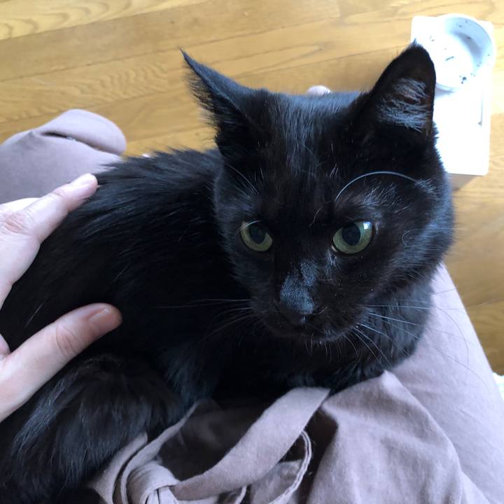 E6894a4d 58ff 48c2 9a5a fbff69b74e2a 1598822269453