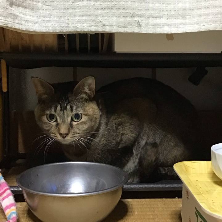 E6894d90 073f 4121 81c1 85cce9a137cb 1647854718789