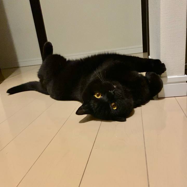 E689ae01 f881 4f5e 8e84 6a91688969fd 1637417179715