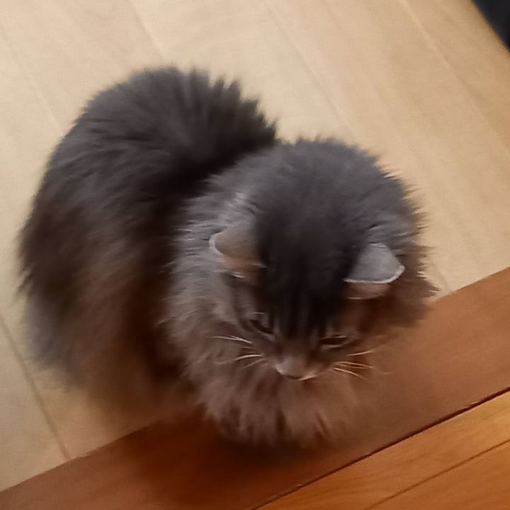 E689d225 1ba9 4d7d 9344 731d654c581f 1614471730142