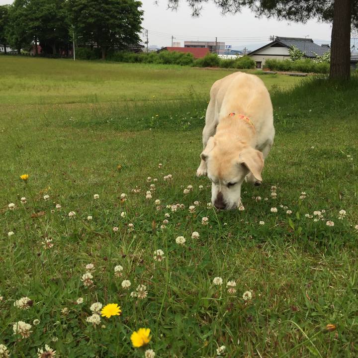 E689e547 b8d2 4417 8808 44b2b594f9df 1527657636609