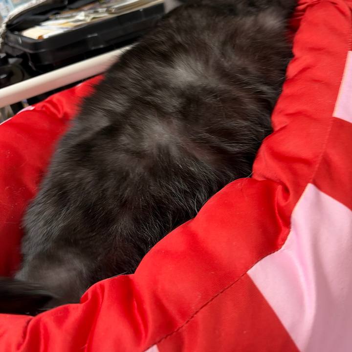 E68a2223 a305 4a85 b711 b325889ccec7 1768283693520