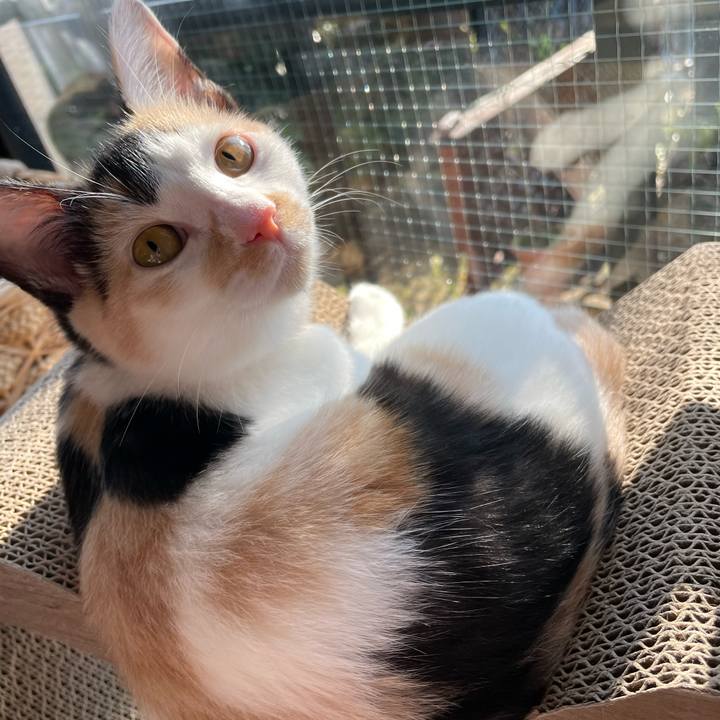 E68a26c6 e09c 46d9 9e6e a3252cfafbce 1666133739746