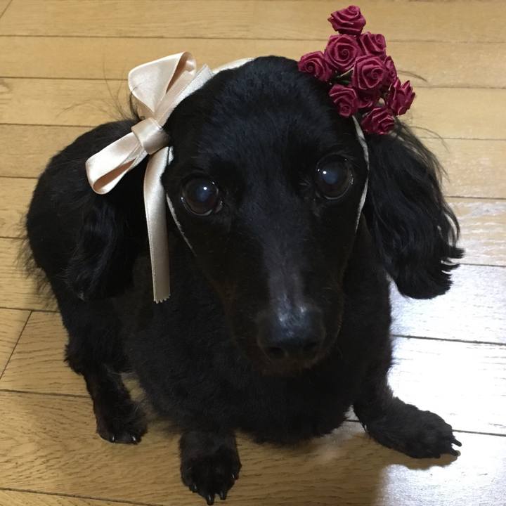 E68a4bed 8a44 44d9 a58e 8a43cbff83d2 1520126977540