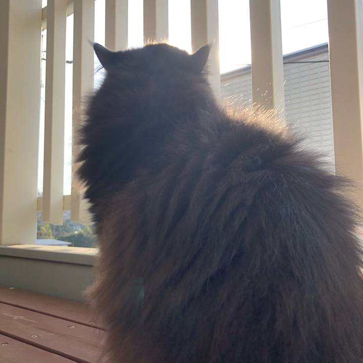 E68a5745 9a25 4923 98ea 4c5297c97c00 1619127968800