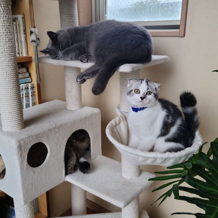 E68a5d7f 61a5 444d 8d6d 8c48c1392d64 1629080518097